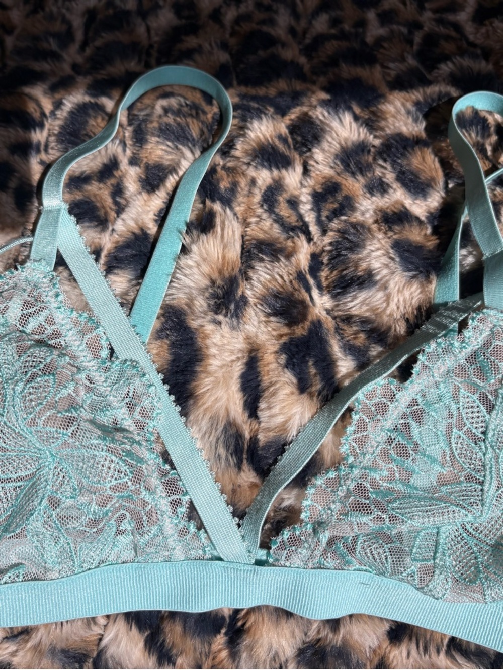 Sheer Lace Bralette in Sage Green